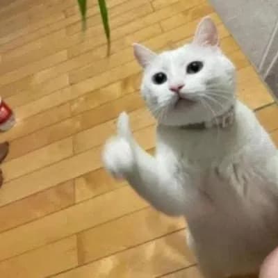 Chubby