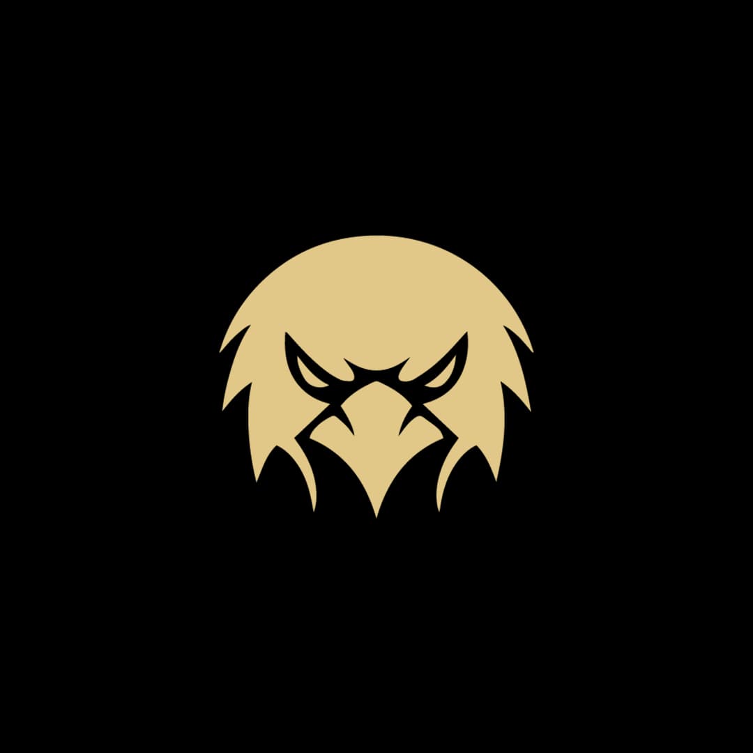 Ascendent Esport