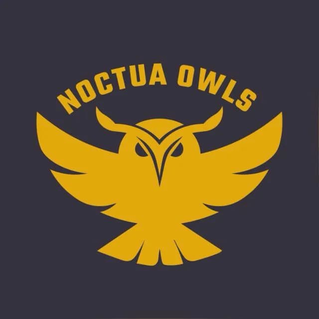Noctua Owls Gold